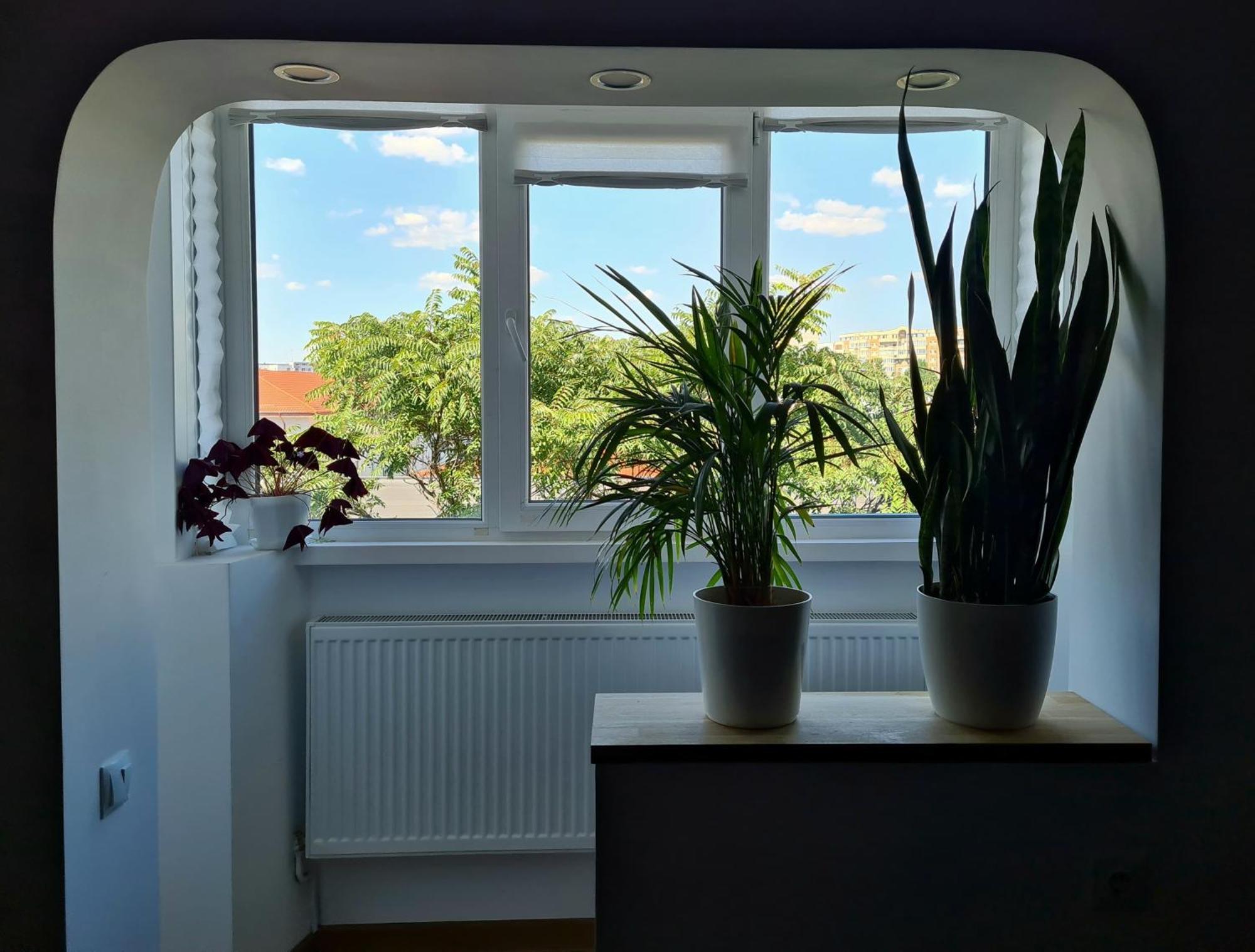 Apartment In Dristor Area Bucharest Luaran gambar